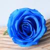 2 Pcs Realistic Artificial Rose Flower Heads Faux Silk No Stem Rose Heads