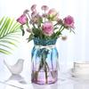 Nordic Transparent Glass Vase Hydroponic Green Ivy Plants Color Glass Vase Flower Arrangement Vase Living Room Decoration