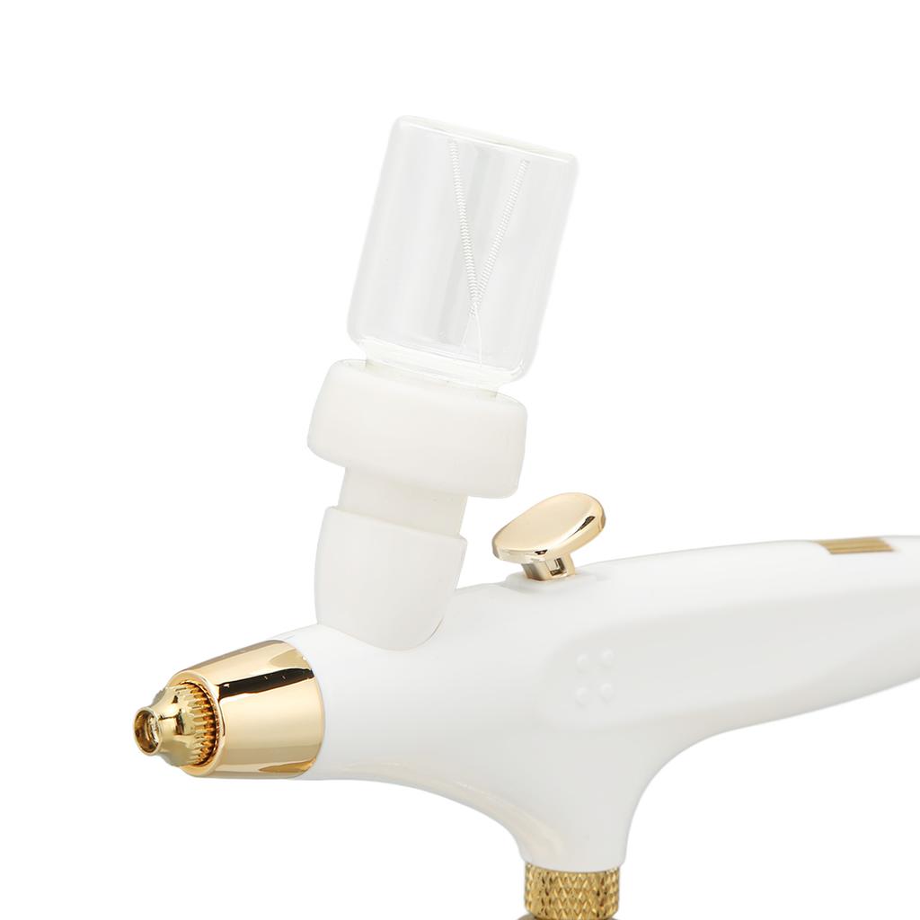 Oxygen Facial  brush Portable Makeup Skin Care Toner   Mist Sprayer Device Lady s Gifts