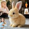 Interactive Plush White Rabbit Toy - Walks, Talks, and Moves