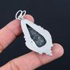Natural Black Fossil Coral Gemstone Pendant 925 Sterling Silver For Women