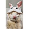 Frettchen Kostüm Cartoon Tierform Haustier Mütze Hamster Meerschweinchen Party Cosplay Tier Ohren Mütze Kopfbedeckung Kätzchen Katze Hut Fotokabine (Hase)