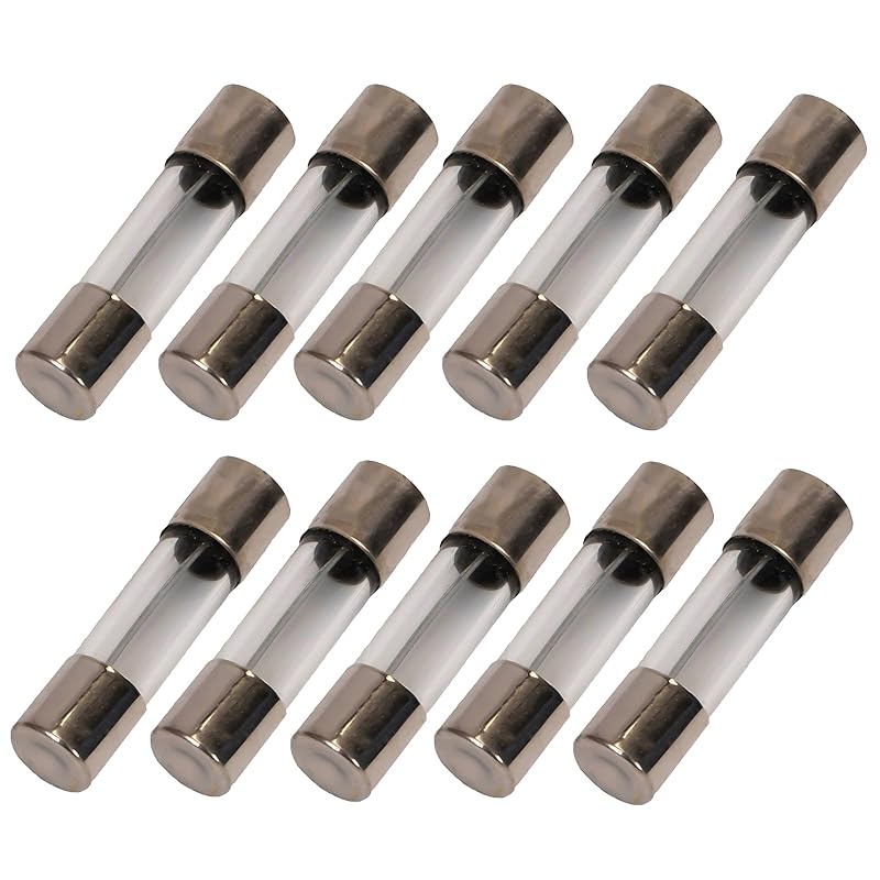 

10A Delon Technology - Glass fuses, Fast-Blow, 10 Pack, 5x20mm / 0.2 x 0.78 Inch, 250V, F10AL250V Time-lag 16A - T16AL250V