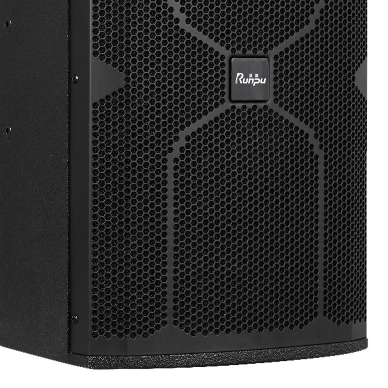 Runpu Professional Dual 10-inch Passive Conference Speaker (CN Version)