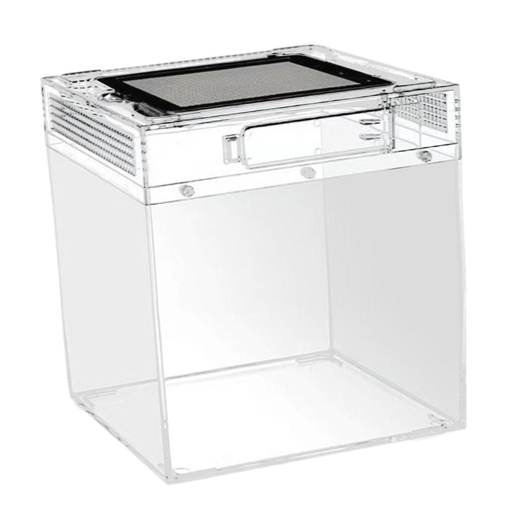 Reptile Terrarium Container Ventilation Clear Breeding Box Habitat for Jumping Lizards Scorpions Iguana Bearded Dragon