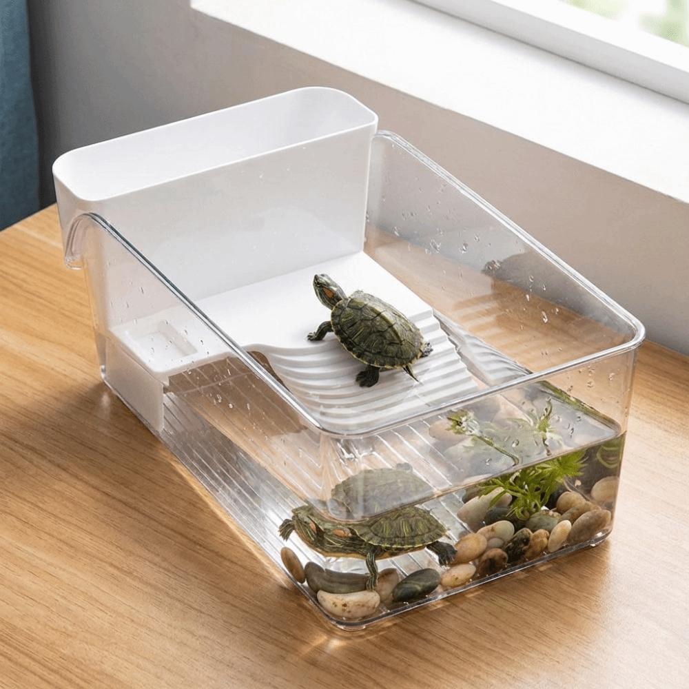 Trocken-Nass-Trennung Schildkrötenbecken Sonnenplatz Schildkröten Sonnenplattform Krabbenbecken Futterhabitat