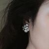 Huitan Flowers Earrings Inlaid Imitation Pearl Aesthetic Accessories for Women Bling Bling Cubic Zirconia Wedding Trendy Zircon