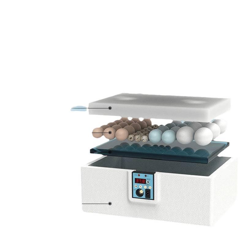 Smart Automatic Incubator for Quail, Duck, and Goose Eggs - Compact and Intelligent Hatching Machine for Home Use
