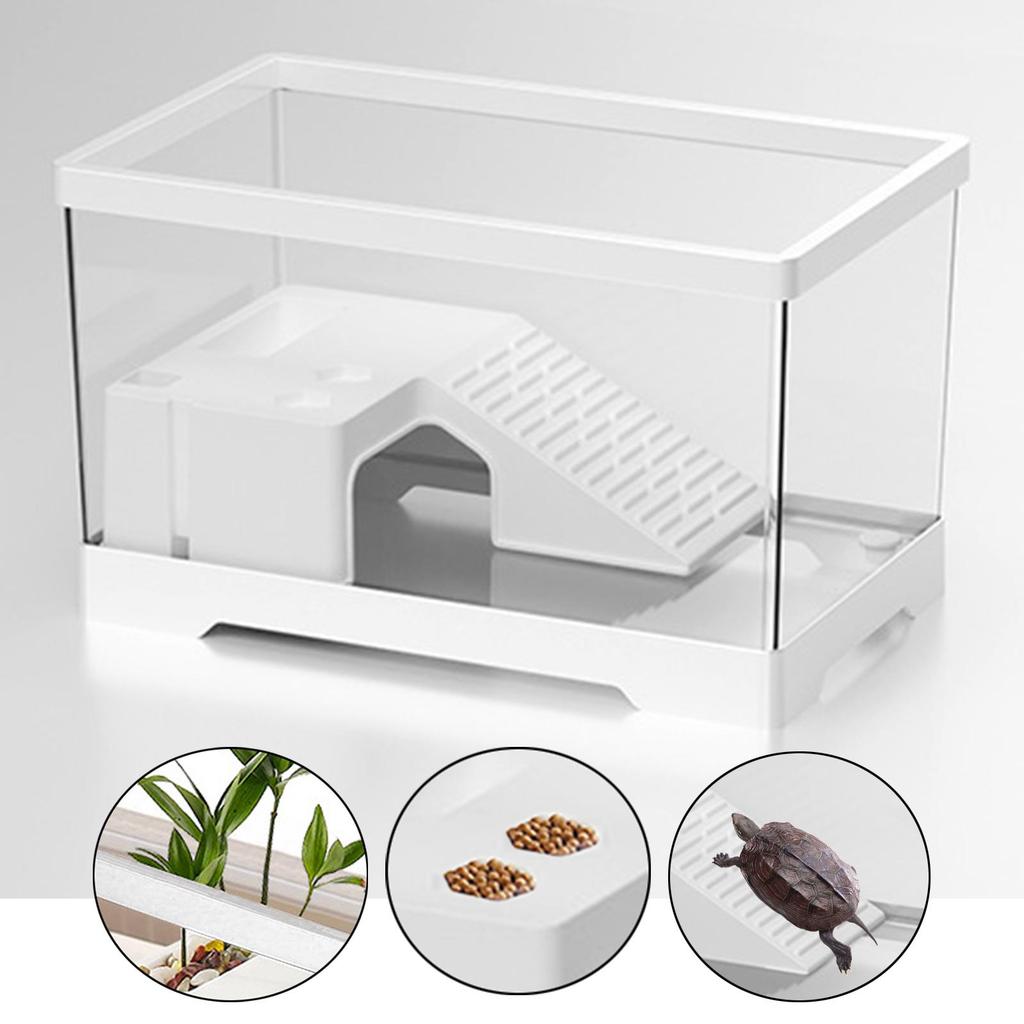Transparency Turtle Tank With Breed Feed Area Cage Reptile Habitat Turtle Tank Bottom Drainage Enclosure Starter Indoor Decor