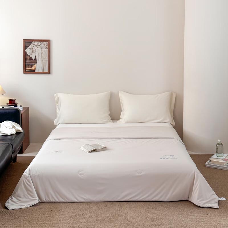 

Southern Living Washed Cloud-Soft Pearl Protein Summer Quilt