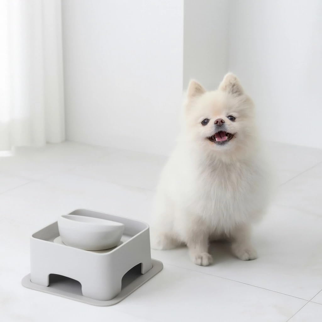 HARIO Pet Bowl and Water Stand with Adjustable Height and Angle, Gray, for Small and Medium Dogs