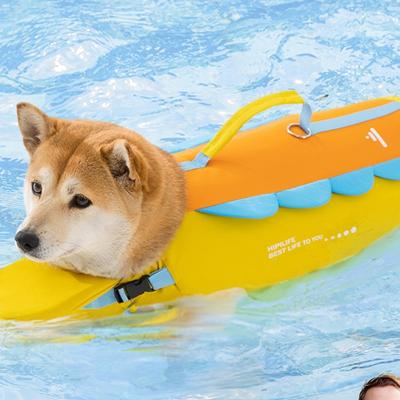 Giyim ve ayakkabı – Köpekler için yelekler ve gömlekler