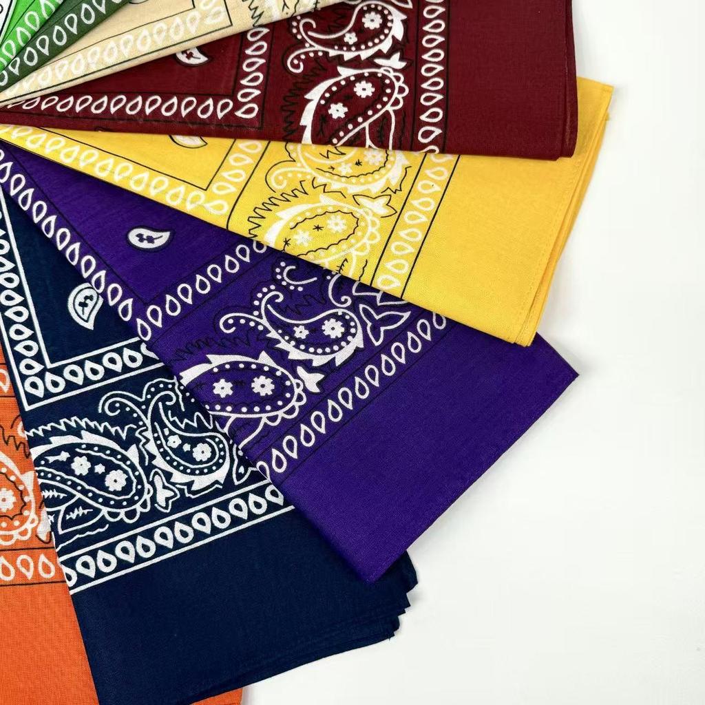 Cotton Paisley Headscarf and Cycling Mask
