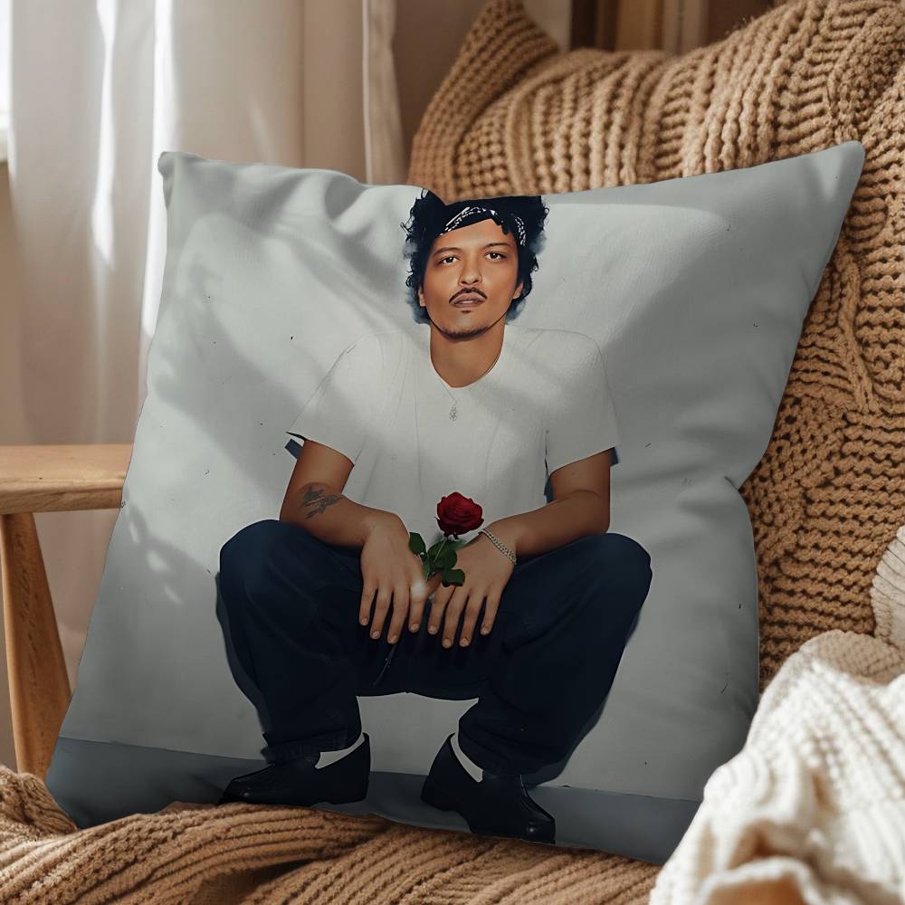 Právě bych mohl Bruno Mars Povlak na polštář Povlak na polštář proti roztočům Neviditelný zip hedvábný krátký plyš Potah na polštář na pohovku