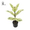 Artificial Rubber Tree: High-End Indoor Decor for Living Room - Large Bionic Plant