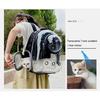 Portable Cat Pet Carrier Backpack Transparent Capsule Bubble Pet Backpack Small Animal Puppy Kitty Breathable Carrier for Travel