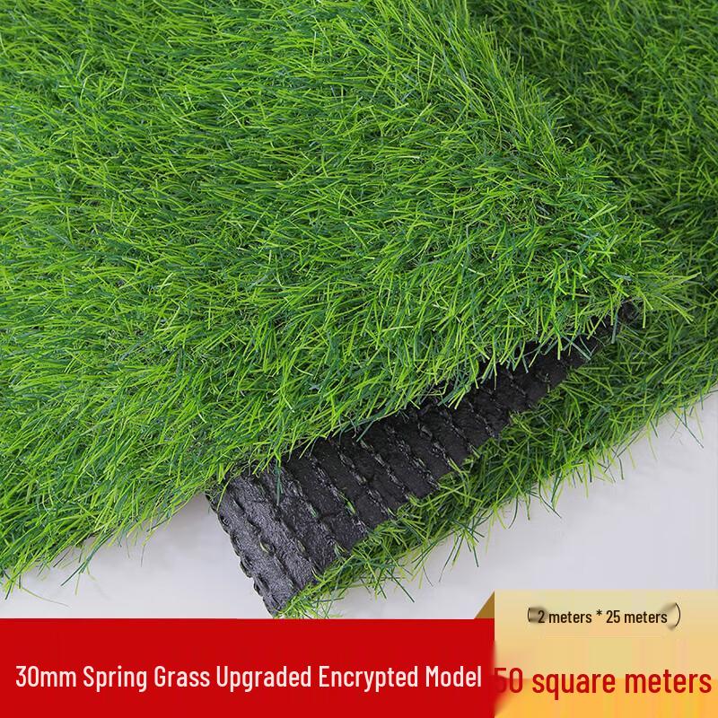 Gazon Sintetic pentru Decorare Exterioară și Grădină