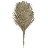 Jixiong Heavy-Duty Bamboo Brooms
