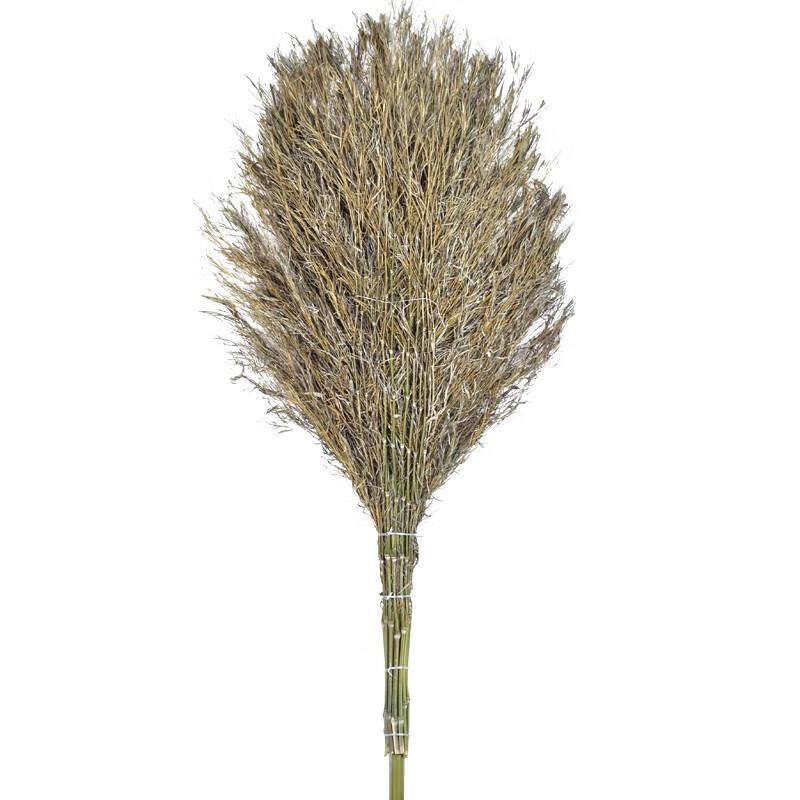 Jixiong Heavy-Duty Bamboo Brooms
