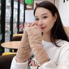 Gants Peluche Demi-Doigts Chauffe-Bras Moufles Sans Doigts Gants Mode Femme Hiver Automne