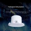 Runpu 6-inch Constant Impedance Ceiling Speaker (CN version)