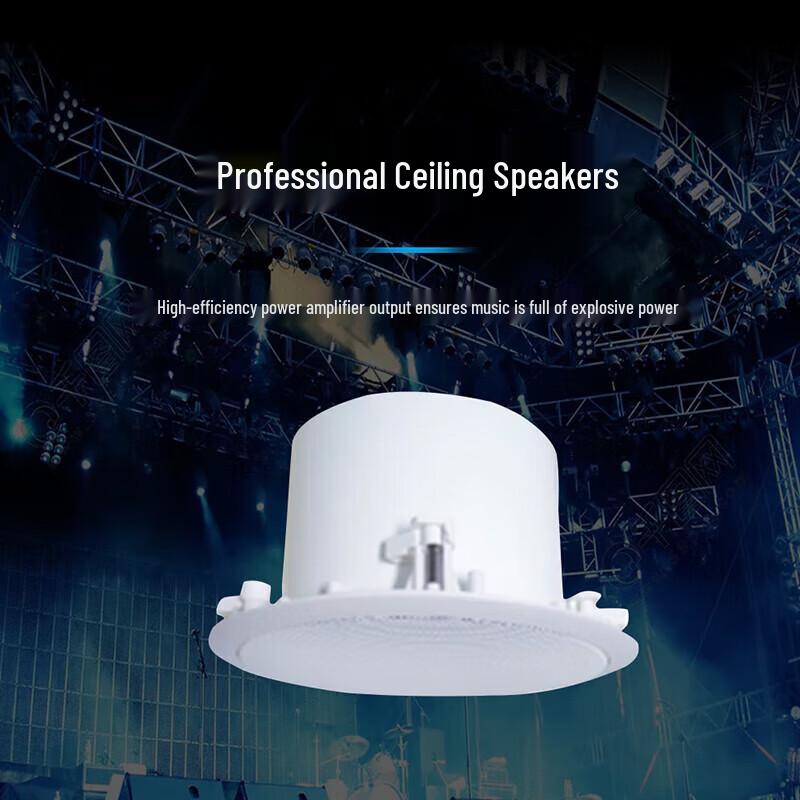 Runpu 6-inch Constant Impedance Ceiling Speaker (CN version)