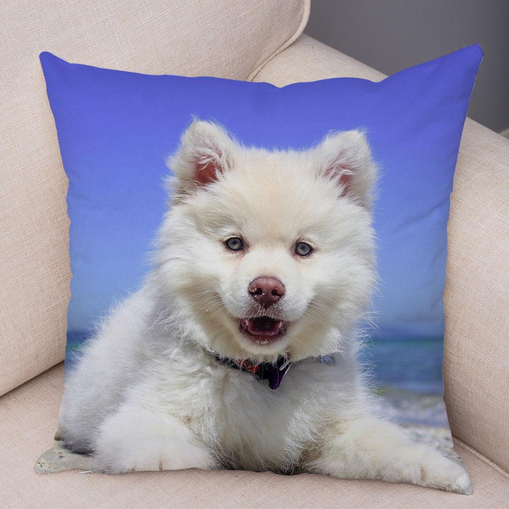 50 Stil Husă de Pernă Câine Alb Drăguț Samoyed Decor Husă de Pernă Animal de Companie Iubitor Husă de Pernă Moale de Pluș pentru Canapé Cameră Copii