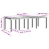 Garden Table Anthracite 250 x 100 x 73 cm Poly Rattan