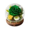 Valentine's Day gift, immortal flower rose glass cover, crystal ball micro-landscape ornament, gift for teacher and girlfriend