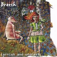 

CD BREECH - Tarnish And Undress NONE Ru Records 2007 US Rock Used