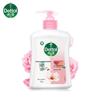 Dettol Moisturizing Antibacterial Hand Wash