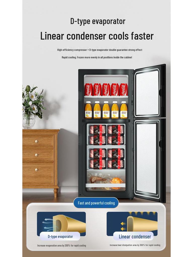 Dongzhi Compact Energy-Saving Two-Compartment Mini Fridge for Dorms & Rentals