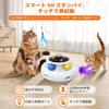 Fusyunn Automatic Cat Electric Cat Teaser for Solitaire Handmade Butterfly with Replacement Ribbon and Randomly Popping LED 1200mAh Exercise Stress