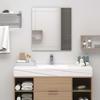 Wall Mirror - vidaXL - 100x60 Cm - Glass - Thickness 5 Mm - Contemporary Style