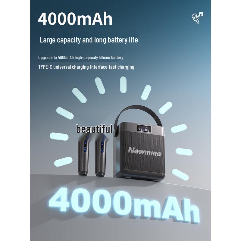 Newmine K519 Portable Bluetooth Karaoke Speaker System