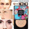 BB Air Cushion Moisturizing Foundation Concealer Mushroom Whitening Oil Control Rozjasňující CC krém na obličej