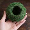 Creative Phalaenopsis Dendrobium Kokedama Moss Ball Plant Pot for Micro Landscape