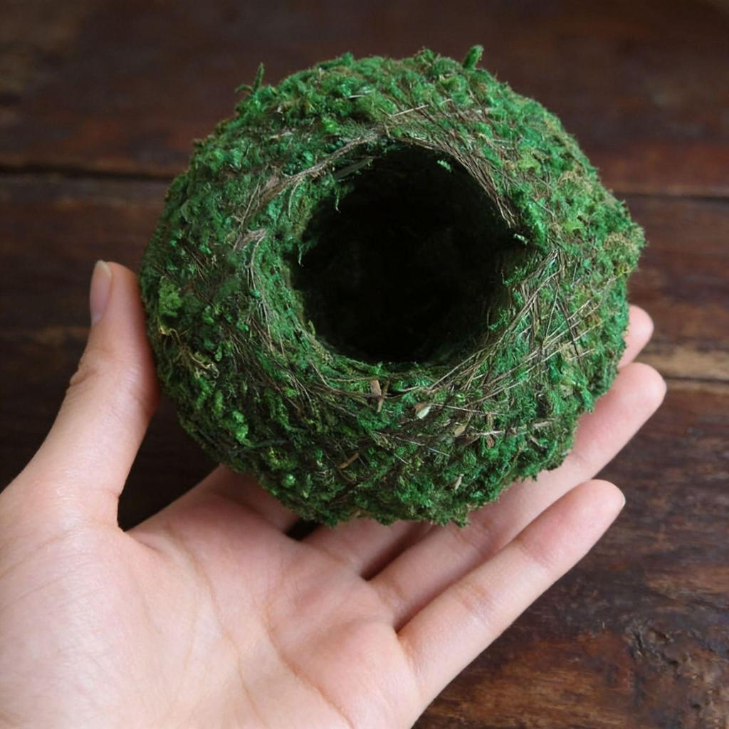 Creative Phalaenopsis Dendrobium Kokedama Moss Ball Plant Pot for Micro Landscape