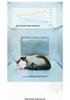 Universal Large Pet Cooling Cabin: Fully Enclosed Air-Conditioned Ice Bed for Cats and Dogs