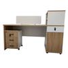 ZCIRCLES BGZ-06 Modern Office Workstation Desk
