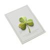 Yousheng Four-Leaf Clover Embroidered Applique, Irish Shamrock Patch, Iron-on Sew-on Applique for Clothes Bags Hats Decoration Repairing