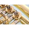 50 Pcs New French Horn Euphonium Baritone Tuba Repair Part Screws Piston Screw