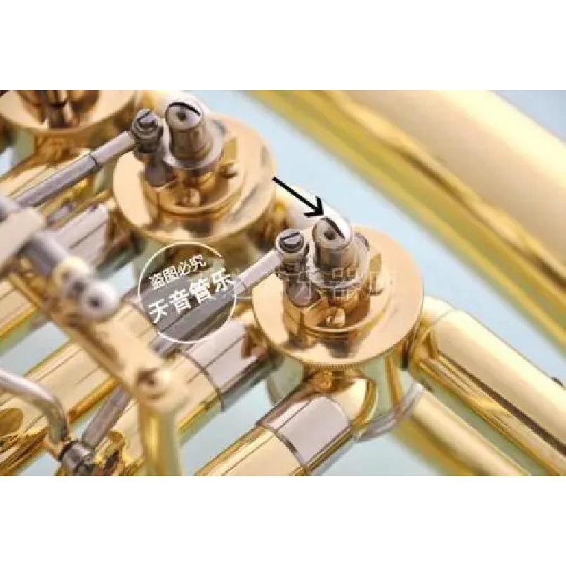 50 Pcs New French Horn Euphonium Baritone Tuba Repair Part Screws Piston Screw