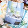 Scenic Paper for DIY Window Collage & Ita-bag Decor