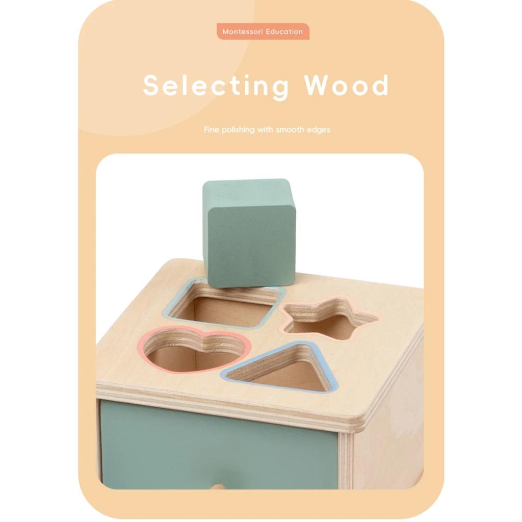 Montessori Object Permanent Box Wooden Toy Color Sorting Shape Matching Box Coins Ball Early Educational Toys Fine Motor Skill