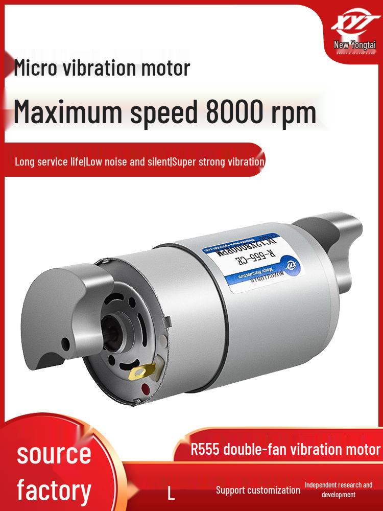 R-555 Mini Doppelkopf-Vibrationsmotor 6V/12V/24V