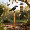 Fake Crow Decoy Bird Repellent Scare Birds Away For House Patio Porch Balcony Roof Pool Garden Decor