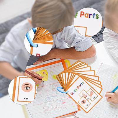 Body Parts Learning Cards, Educational Flashcards for Kids 15Pcs Teacher Resource