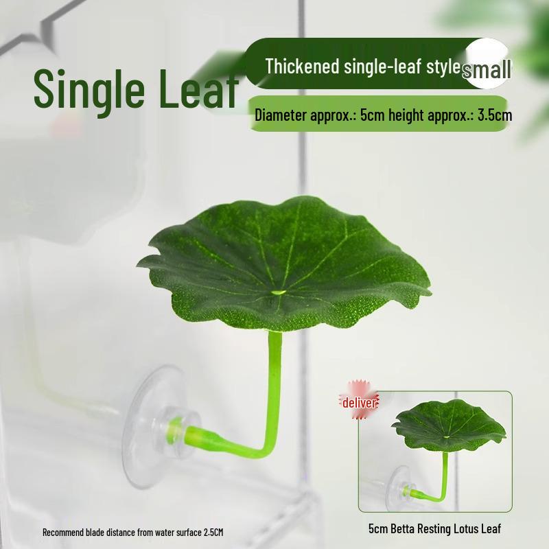 Betta Fish Resting Leaf: Lazy Leaf Perch, Hide & Simulate Spawning In Small Tanks