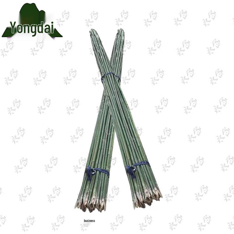 Garden Bamboo Climbing & Support Poles